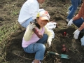 いも掘り大会2005写真