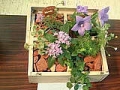 第１０回ガーデニング教室写真