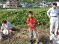 いも掘り大会2006写真