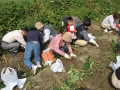 いも掘り大会2006写真
