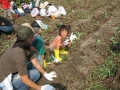 いも掘り大会2006写真