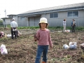 いも掘り大会2006写真