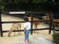 リトルワールド写真