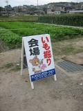 いもほり大会2007年写真