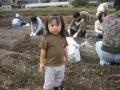 いもほり大会2007年写真