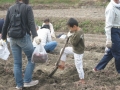 いもほり大会2007年写真
