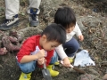 いもほり大会2007年写真