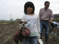 いもほり大会2007年写真