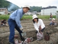 いもほり大会2007年写真