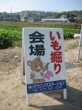 いも掘り大会2008写真