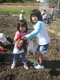 いも掘り大会2008写真