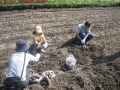 いも掘り大会2008写真