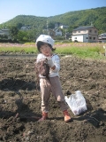 いも掘り大会2008写真