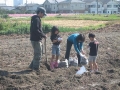 いも掘り大会2008写真
