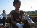 いも掘り大会2008写真