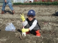 いも掘り大会2008写真