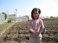 いも掘り大会2008写真