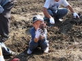いも掘り大会2008写真