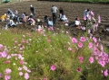 いも掘り大会2008写真