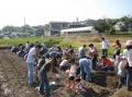 いも掘り大会2008写真