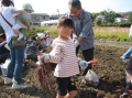 いも掘り大会2008写真