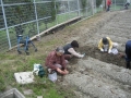 いもほり大会2009年写真