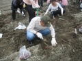 いもほり大会2009年写真