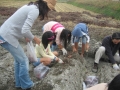 いもほり大会2009年写真