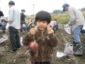 いもほり大会2009年写真