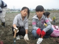 いもほり大会2009年写真
