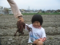 いもほり大会2009年写真