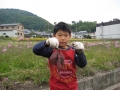 いもほり大会2009年写真
