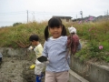いもほり大会2009年写真