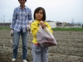 いもほり大会2009年写真