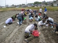 いもほり大会2009年写真