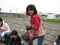 いもほり大会2009年写真