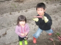 いもほり大会2009年写真