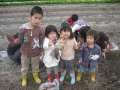 いもほり大会2009年写真