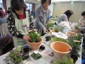 第２７回友の会ｶﾞｰﾃﾞﾆﾝｸﾞ教室写真